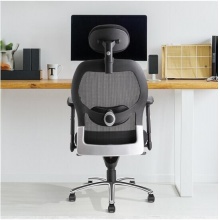 得力 4903 人體工程靠背辦公椅 黑色