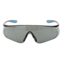 霍尼韋爾 300111 防刮擦防霧眼鏡 灰色 10副/盒