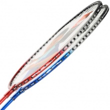 紅雙喜(DHS) 208 羽毛球拍 2支/副