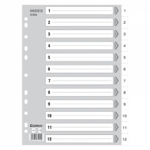 齊心 IX894 易分類(lèi)年度索引紙 A4 灰色